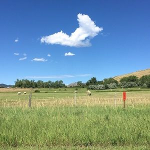 Meet your Posher, Jared